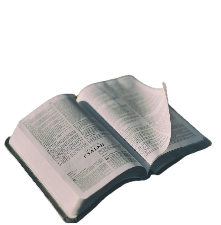bible-1846174_1280